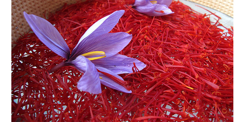 زعفران (saffron) زعفران (saffron)