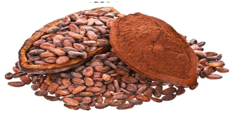 آیا کاکائو غذایی شیرین برای مغز محسوب میشود؟ آیا کاکائو غذایی شیرین برای مغز محسوب میشود؟