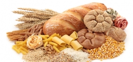 درباره غلات درباره غلات