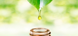 9 روغن گیاهی شگفت انگیز 9 روغن گیاهی شگفت انگیز