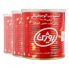 رب گوجه فرنگی ( 12 عددی) 800 گرمی روژین رب گوجه فرنگی ( 12 عددی) 800 گرمی روژین