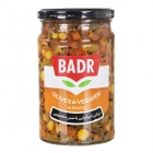 ترشی اسپانیایی با سس مخصوص 650 گرمی بدر ترشی اسپانیایی با سس مخصوص 650 گرمی بدر