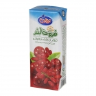 نکتار زرشک و آلبالو 200 میلیلیتری فروتلند میهن نکتار زرشک و آلبالو 200 میلیلیتری فروتلند میهن