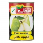کمپوت گلابی نیمه 420 گرمی انتخاب کمپوت گلابی نیمه 420 گرمی انتخاب