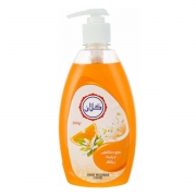 مایع دستشویی با رایحه پرتقال 500 گرمی گلان مایع دستشویی با رایحه پرتقال 500 گرمی گلان
