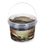 رطب مضافتی 450 گرمی چیلوک رطب مضافتی 450 گرمی چیلوک