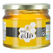 عسل 450 گرمی دیلان عسل 450 گرمی دیلان