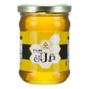 عسل 300 گرمی دیلان عسل 300 گرمی دیلان