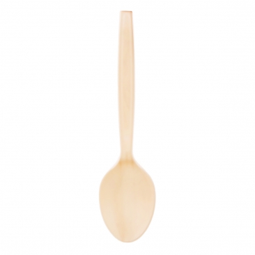 قاشق یکبار مصرف گیاهی 12 عددی درفین 