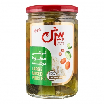 ترشی مخلوط درشت 630 گرمی بیژن